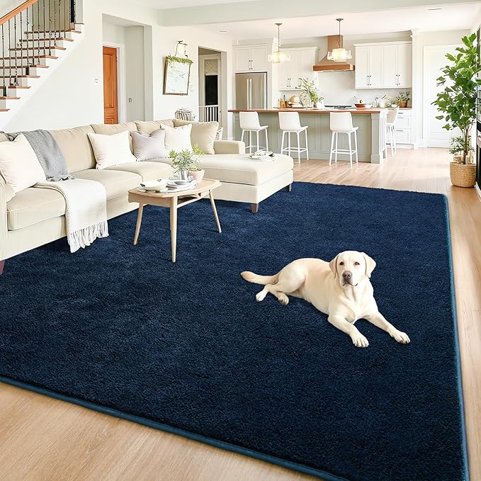 Chicrug 5x7 Minimalist Washable Area Rugs for Bedroom Living Room Classroom, Modern Soft Memory Foam Rug for Kids Nursery, Low Plie Indoor Carpet for Dorm Dining Office Bedside Room Decor, Navy Blue