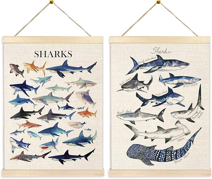 Ecezatik Shark Wall Art Set of 2, Shark Posters, Hanging Wall Art Decor for Classroom, Nursery, Kids Room, Playroom, Beach, Ocean Room Decor, 12x16 Inch