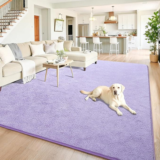 Chicrug 5x7 Minimalist Washable Area Rugs for Bedroom Living Room Classroom, Modern Soft Memory Foam Rug for Kids Nursery, Low Plie Indoor Carpet for Dorm Dining Office Bedside Room Decor, Purple