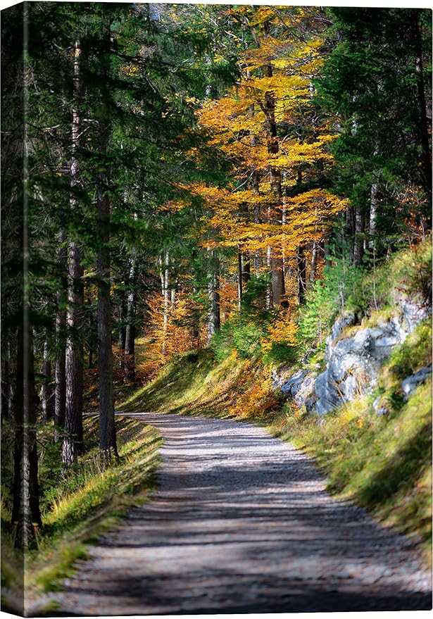 SIGNWIN Canvas Wall Art Green Forest Path Nature Forest Photography Realism Rustic Scenic Dramatic Multicolor Cool for Living Room - 24"x36" inches