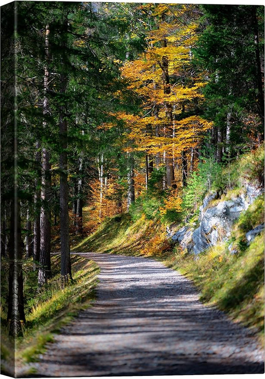 SIGNWIN Canvas Wall Art Green Forest Path Nature Forest Photography Realism Rustic Scenic Dramatic Multicolor Cool for Living Room - 24"x36" inches