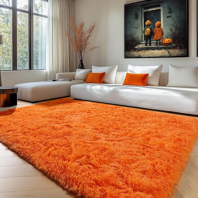 ONASAR Orange Rugs for Living Room Bedroom, 5x8 Washable Fluffy Bedside Area Rug, Soft Plush Shaggy Indoor Floor Carpet for Nursery Kids Girls Boys Teen Dorm Home Office Decor Aesthetic