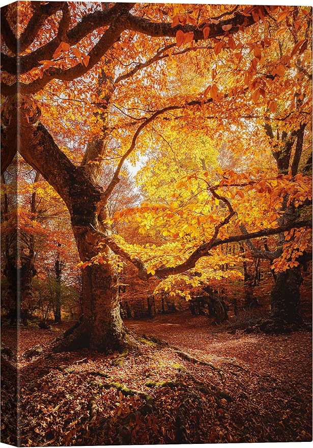 SIGNWIN Canvas Print Wall Art Autumn Red Leaf Oak Tree Forest Nature Wilderness Photography Modern Art Farmhouse/Country Landscape Colorful Multicolor Ultra for Living Room, Bedroom, Office - 12x18