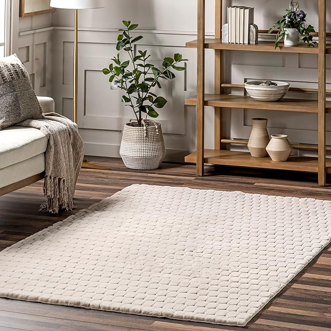 nuLOOM Nia Beige, 3'9" x 6', Cozy Shag, Fluffy and Soft, High Traffic, Stain Resistant, Easy Clean, Durable Machine Washable Area Rug for Bedroom, Living Room, Dining, Den, Foyer, Entryway