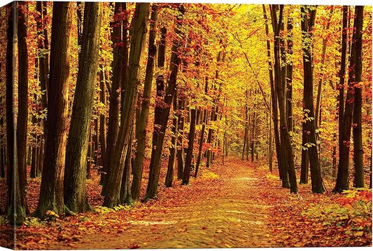 SIGNWIN Canvas Print Wall Art Walk Through Red Yellow Leaf Autumn Forest Nature Wilderness Photography Modern Art Rustic Landscape Relax/Calm Multicolor for Living Room, Bedroom, Office - 24x36