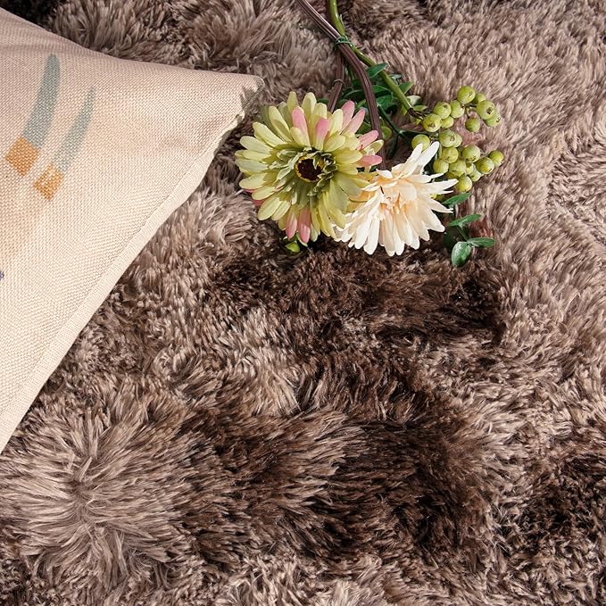 DweIke Fluffy Brown Rugs for Bedroom Living Room, 5x8 Feet Soft Plush Shaggy Tie-Dyed Dark Coffee Girls Boys Kids Rug, Upgraded Non-Slip and Machine Washable Carpet for Dorm Nursery Classroom Decor