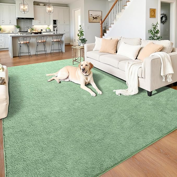 Chicrug 5x7 Minimalist Washable Area Rugs for Bedroom Living Room Classroom, Modern Soft Memory Foam Rug for Kids Nursery, Low Plie Indoor Carpet for Dorm Dining Office Bedside Room Decor, Sage Green