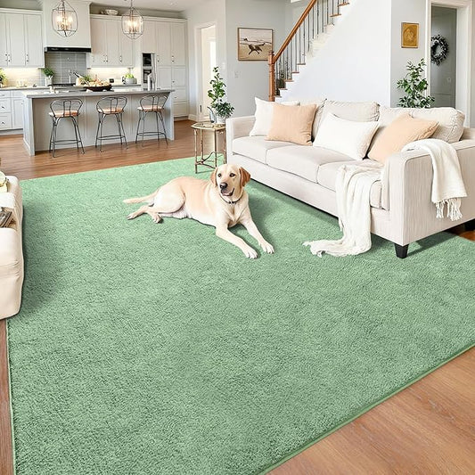 Chicrug 5x7 Minimalist Washable Area Rugs for Bedroom Living Room Classroom, Modern Soft Memory Foam Rug for Kids Nursery, Low Plie Indoor Carpet for Dorm Dining Office Bedside Room Decor, Sage Green