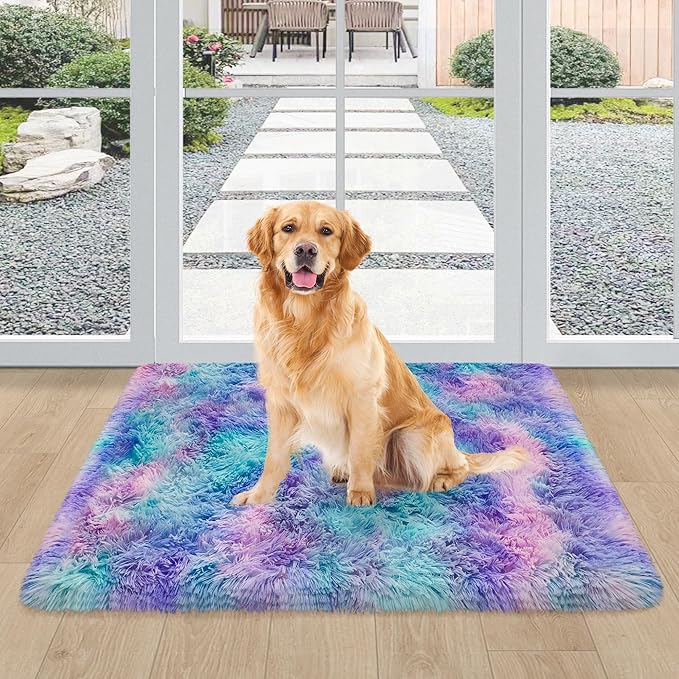 Shaggy Tie Dyed Light Purple Rainbow Rug Small,2x3 Area Rugs for Living Room Door Entryway Indoor Inside Front Entrance Dog Mat Anti-Skid Extra Comfy Fluffy Floor Carpet for Home Decorative