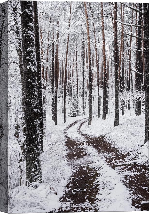 SIGNWIN Canvas Wall Art Winter Trees Cool Dramatic Forest Multicolor Nature Photography Rustic - 32x48 inches