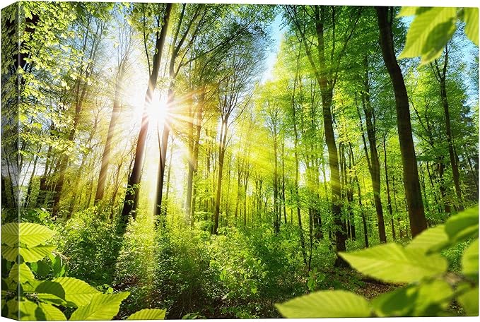 SIGNWIN-Canvas Wall Art-Sunshine in The Forest -Canvas Prints Home Artwork Decoration for Living Room,Bedroom - 32x48 inches