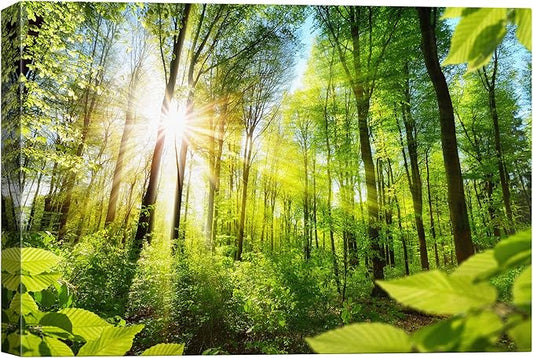 SIGNWIN-Canvas Wall Art-Sunshine in The Forest -Canvas Prints Home Artwork Decoration for Living Room,Bedroom - 32x48 inches
