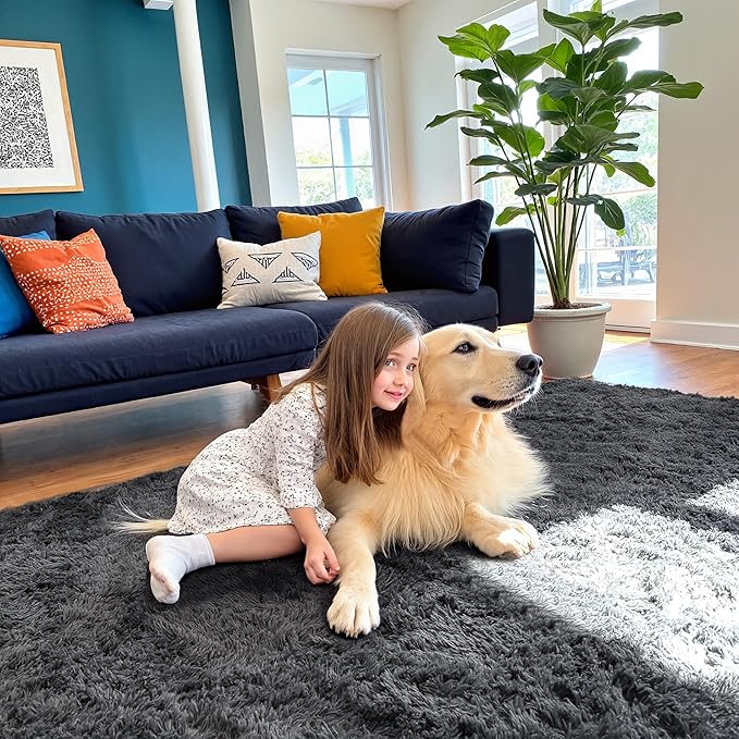 8x10 Area Rug for Living Room, Modern Grey Shag Shaggy Plush Carpet Washable Non-Slip Large Rug Super Soft Indoor Fuzzy Fluffy Carpet for Bedroom Home Aesthetic Decor