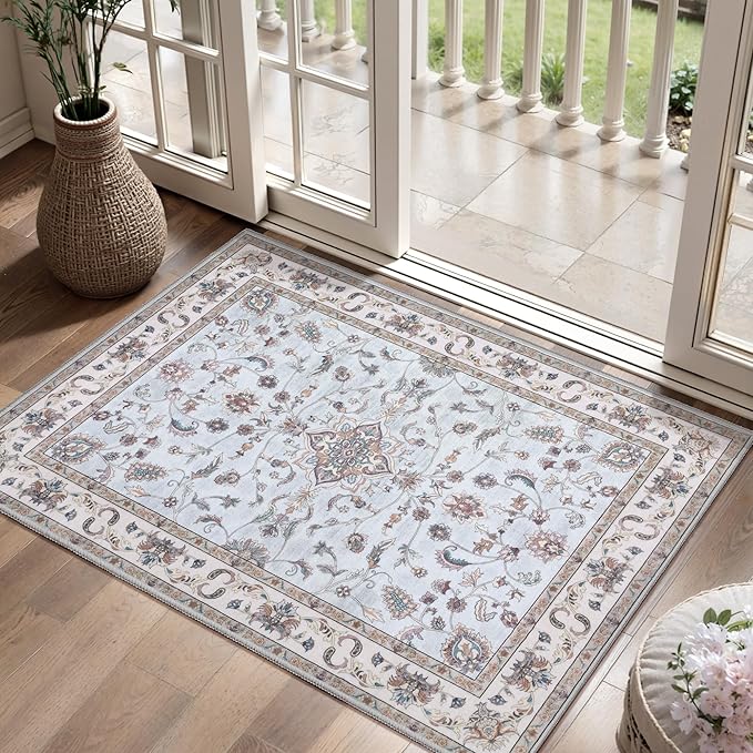 Tangsoo 2x3 Small Rug for Entryway, Washable Area Entry Rugs Non Slip, Persian Low Pile Soft Area Rugs, Indoor Front Door Boho Throw Rug Carpet for Entrance Kitchen Bedroom Bathroom Home Decor