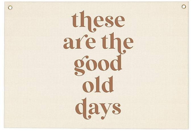 These Are the Good Old Days Inspirational Positive Rectangular Banner Flag Wall Decor Gift for Kids Friends,Home Bedroom Toddler Room Living Room Classroom Office Decor-Birthday Christmas Gift