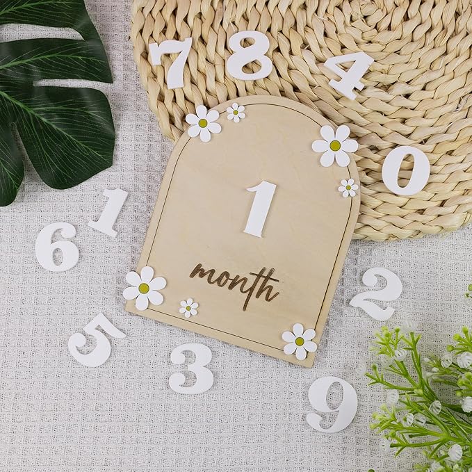 Wooden 3D Baby Monthly Milestone Cards Monthly Milestone Discs Newborn Photography Props Baby Announcement Sign Baby (Daisy)