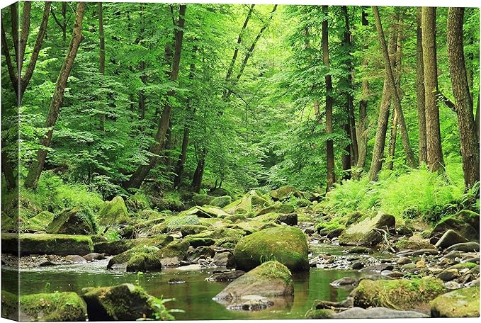 SIGNWIN-Canvas Wall Art-Sunshine in The Forest -Canvas Prints Home Artwork Decoration for Living Room,Bedroom - 16x24 inches