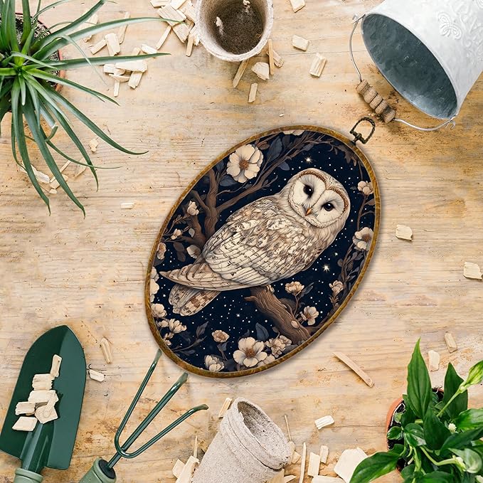 Hiuwevt Enchanted Forest Owl Oval Wall Art Decor, Mystical Whimsical Owl Framed Canvas Prints, Dark Cottagecore Animal Oval Wall Hanging Decor for Home Gallery Decorations, 8.6x11.4 Inches