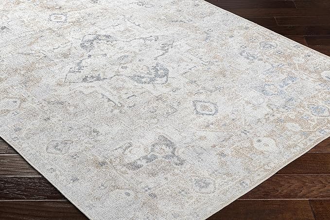 Mark&Day Washable Rugs, 2x4 Moya Traditional Hickory Area Rug, Brown Grey Beige Carpet for Living Room, Bedroom or Kitchen (2'3" x 3'9", Machine Washable)
