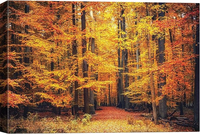 SIGNWIN Canvas Print Wall Art Golden Red Autumn Tree Leaf Forest Trail Nature Wilderness Photography Modern Art Rustic Landscape Relax/Calm Multicolor for Living Room, Bedroom, Office - 24x36