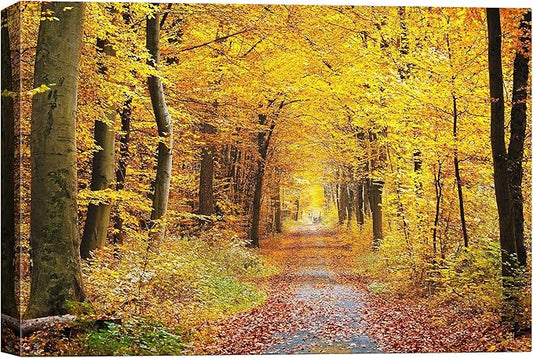 SIGNWIN Canvas Wall Art Sunshine in The Forest -Canvas Prints Home Artwork Decoration for Living Room,Bedroom - 32x48 inches