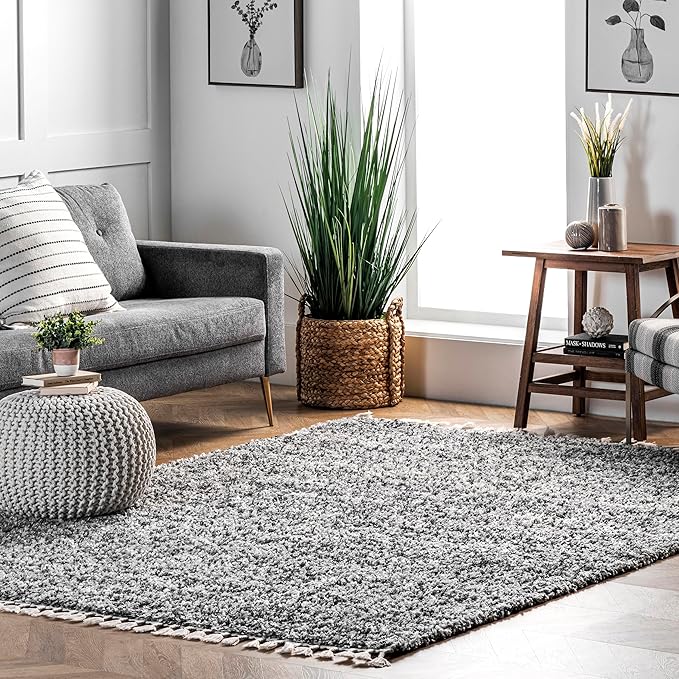 nuLOOM Brooke Shag Tasseled Area Rug - 7x9 Shag Area Rug Casual Grey/Ivory Rugs for Living Room Bedroom Dining Room Nursery