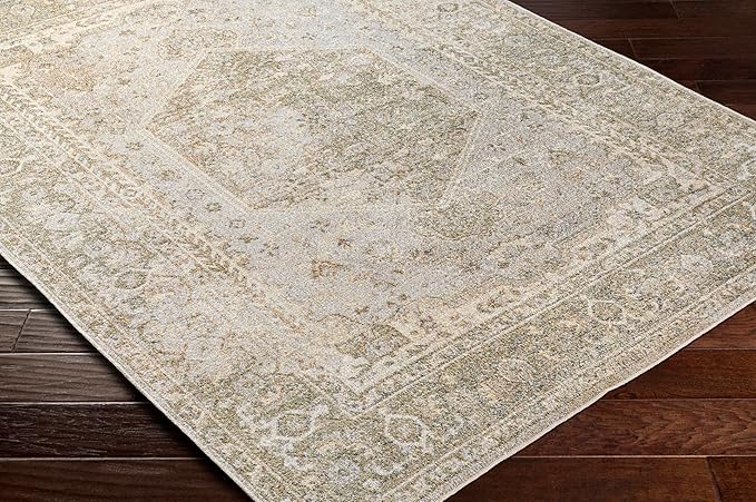 Mark&Day Washable Rugs, 2x3 Edmond Traditional Camel Area Rug, Gray Olive Brown Carpet for Living Room, Bedroom or Kitchen (2' x 3',Machine Washable)
